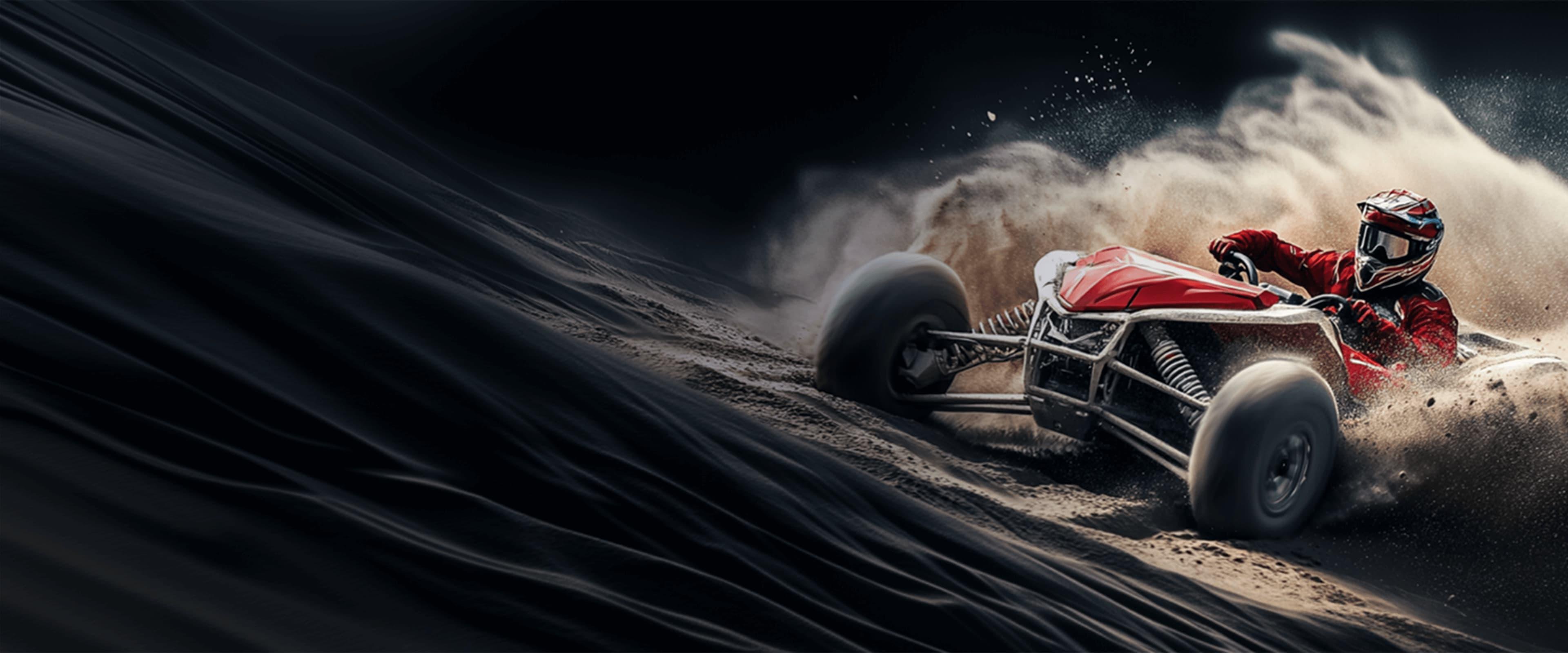 PROFESSIONAL SHOCK 
 ABSORBER MANUFACTURER