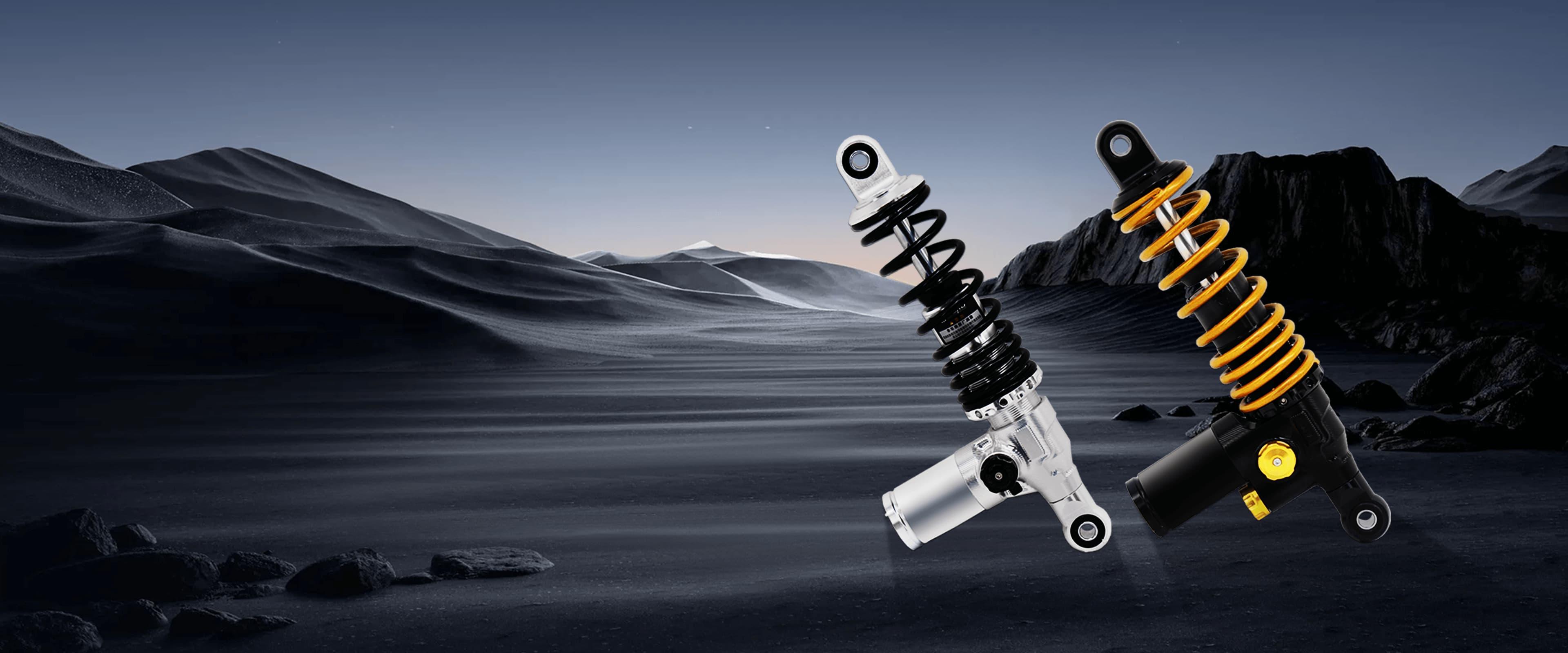 PROFESSIONAL SHOCK 
 ABSORBER MANUFACTURER